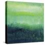 Views of Nature 13-Hilary Winfield-Stretched Canvas