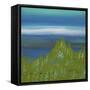 Views of Nature 17-Hilary Winfield-Framed Stretched Canvas