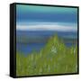 Views of Nature 17-Hilary Winfield-Framed Stretched Canvas