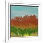 Views of Nature 23-Hilary Winfield-Framed Giclee Print