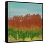 Views of Nature 23-Hilary Winfield-Framed Stretched Canvas