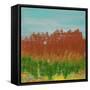 Views of Nature 23-Hilary Winfield-Framed Stretched Canvas