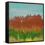 Views of Nature 23-Hilary Winfield-Framed Stretched Canvas