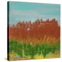 Views of Nature 23-Hilary Winfield-Stretched Canvas