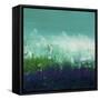 Views of Nature 9-Hilary Winfield-Framed Stretched Canvas