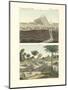 Views of Some Volcanoes in the Kingdom of New Spain in America-null-Mounted Giclee Print