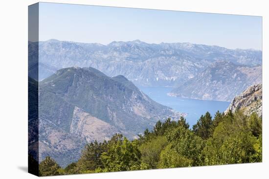 Views of the Bay of Kotor, Just Outside of Lovcen Nation Park, Njegusi, Montenegro, Europe-Charlie Harding-Stretched Canvas