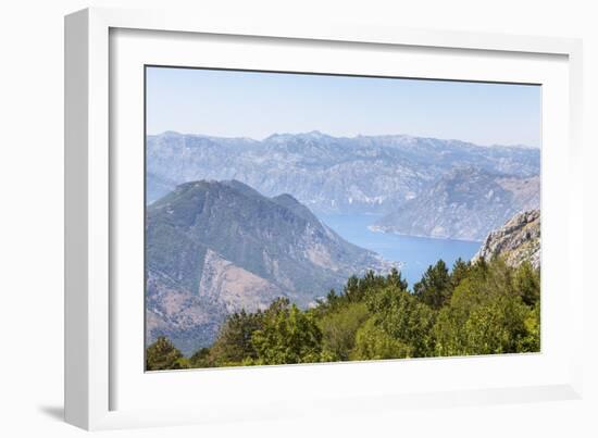 Views of the Bay of Kotor, Just Outside of Lovcen Nation Park, Njegusi, Montenegro, Europe-Charlie Harding-Framed Photographic Print