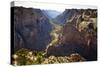 Views of the Cliffs in Zion Canyon from Observation Point Trail in Zion National Park, Utah-Sergio Ballivian-Stretched Canvas