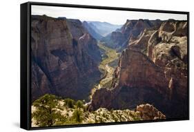 Views of the Cliffs in Zion Canyon from Observation Point Trail in Zion National Park, Utah-Sergio Ballivian-Framed Stretched Canvas