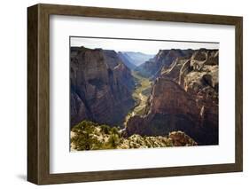 Views of the Cliffs in Zion Canyon from Observation Point Trail in Zion National Park, Utah-Sergio Ballivian-Framed Photographic Print