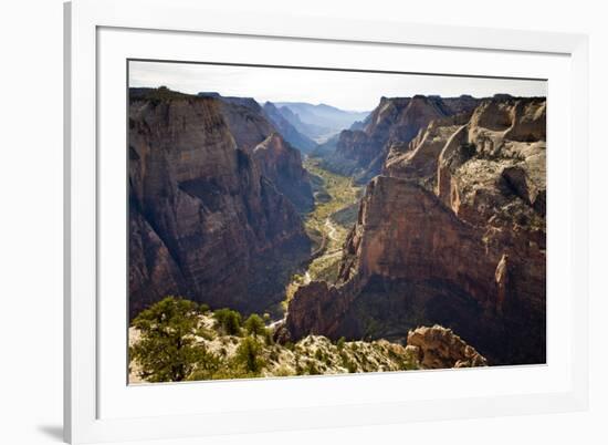 Views of the Cliffs in Zion Canyon from Observation Point Trail in Zion National Park, Utah-Sergio Ballivian-Framed Photographic Print