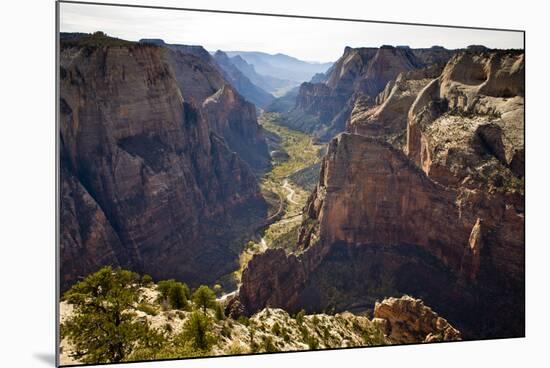 Views of the Cliffs in Zion Canyon from Observation Point Trail in Zion National Park, Utah-Sergio Ballivian-Mounted Photographic Print