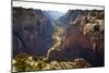 Views of the Cliffs in Zion Canyon from Observation Point Trail in Zion National Park, Utah-Sergio Ballivian-Mounted Photographic Print