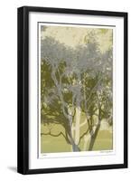 Views of Trees 3-Mj Lew-Framed Giclee Print