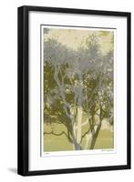 Views of Trees 3-Mj Lew-Framed Giclee Print