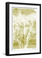 Views of Trees 5-Mj Lew-Framed Giclee Print