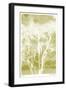 Views of Trees 5-Mj Lew-Framed Giclee Print