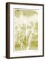 Views of Trees 5-Mj Lew-Framed Giclee Print