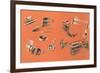 Views of Typewriter Parts-Found Image Press-Framed Giclee Print