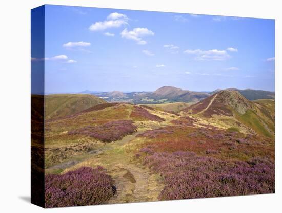 Views over Caradoc, Lawley and the Wrekin from the Long Mynd, Church Stretton Hills, Shropshire, En-Peter Barritt-Stretched Canvas