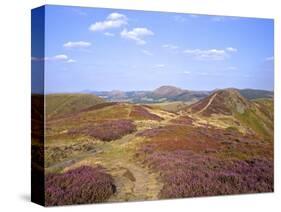 Views over Caradoc, Lawley and the Wrekin from the Long Mynd, Church Stretton Hills, Shropshire, En-Peter Barritt-Stretched Canvas