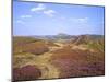 Views over Caradoc, Lawley and the Wrekin from the Long Mynd, Church Stretton Hills, Shropshire, En-Peter Barritt-Mounted Premium Photographic Print