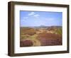 Views over Caradoc, Lawley and the Wrekin from the Long Mynd, Church Stretton Hills, Shropshire, En-Peter Barritt-Framed Photographic Print