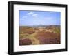 Views over Caradoc, Lawley and the Wrekin from the Long Mynd, Church Stretton Hills, Shropshire, En-Peter Barritt-Framed Photographic Print