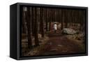 Canvas Black