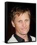 Viggo Mortensen-null-Framed Stretched Canvas