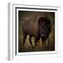 Vigilant Bison-Marcus Prime-Framed Art Print