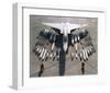 Vigilante Mach 2 bomber-null-Framed Art Print