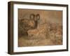 Vigne's Wild Sheep, 1858-Joseph Wolf-Framed Giclee Print