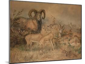 Vigne's Wild Sheep, 1858-Joseph Wolf-Mounted Giclee Print