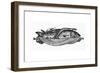 Vignette for Chapter Xix-null-Framed Giclee Print