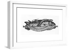 Vignette for Chapter Xix-null-Framed Giclee Print