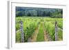 Vignoble Isle de Bacchus winery, Ile d'Orleans, Quebec, Canada.-Jamie & Judy Wild-Framed Photographic Print
