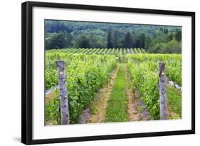 Vignoble Isle de Bacchus winery, Ile d'Orleans, Quebec, Canada.-Jamie & Judy Wild-Framed Photographic Print