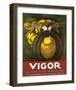 Vigor, Resiste Et Ne Derape Pas-null-Framed Art Print