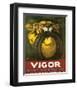 Vigor, Resiste Et Ne Derape Pas-null-Framed Art Print