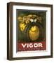 Vigor, Resiste Et Ne Derape Pas-null-Framed Art Print