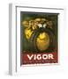 Vigor, Resiste Et Ne Derape Pas-null-Framed Art Print