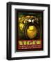 Vigor Tires-Kate Ward Thacker-Framed Premium Giclee Print