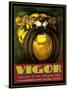 Vigor Tires-Kate Ward Thacker-Stretched Canvas