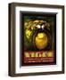 Vigor Tires-Kate Ward Thacker-Framed Giclee Print