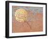 Vigour-Angus Hampel-Framed Giclee Print