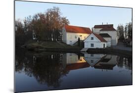 Vihula Manor House-Stuart Forster-Mounted Photographic Print