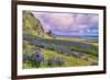 Vik 3pm, Summer in Iceland, Southern Coast Wildflowers-Vincent James-Framed Photographic Print