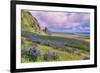 Vik 3pm, Summer in Iceland, Southern Coast Wildflowers-Vincent James-Framed Photographic Print